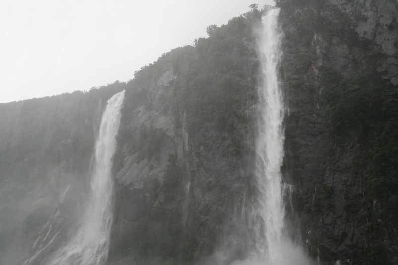 Nieuw-Zeeland 2011 - 1690